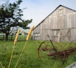 {Rustic Barn}