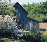 {Old Barn}