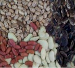 {Dried Beans}