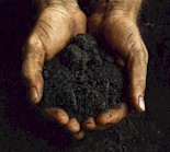 {Soil}
