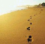 {Footprints}