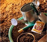 {Garden Tools}