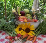 { Veggies }